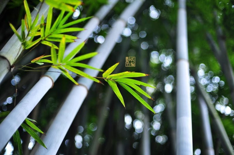 Handmade Bamboo Silk Inlay Porcelain Vase